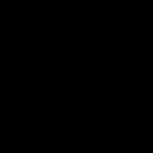 Meet your Posher, Adan